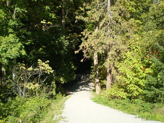 Byrne Creek Ravine Park